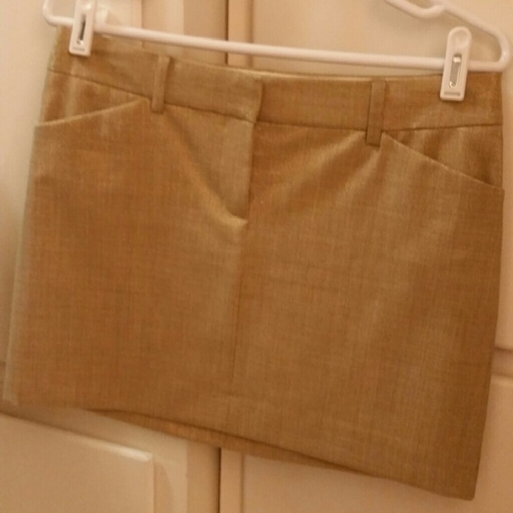 Express Skirt